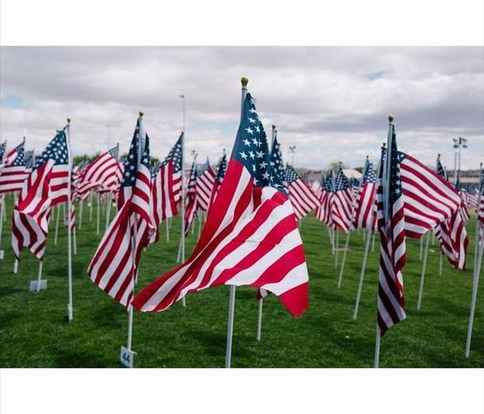 U.S.A. flags in cemetery