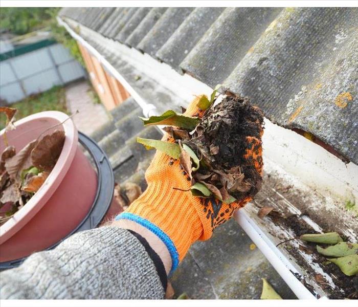 Hand with orange glove cleaning a gutter with leaves